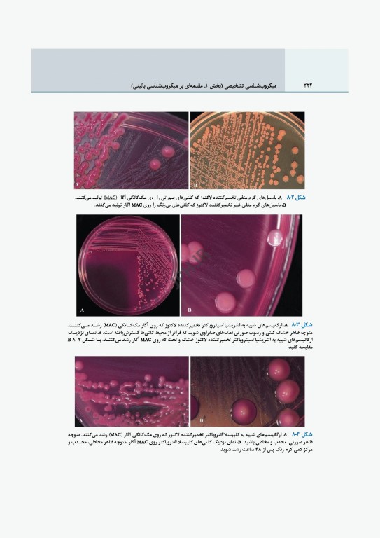 میکروب‌شناسی تشخیصی ماهون جلد1 مقدمه‌ای بر میکروب‌شناسی بالینی