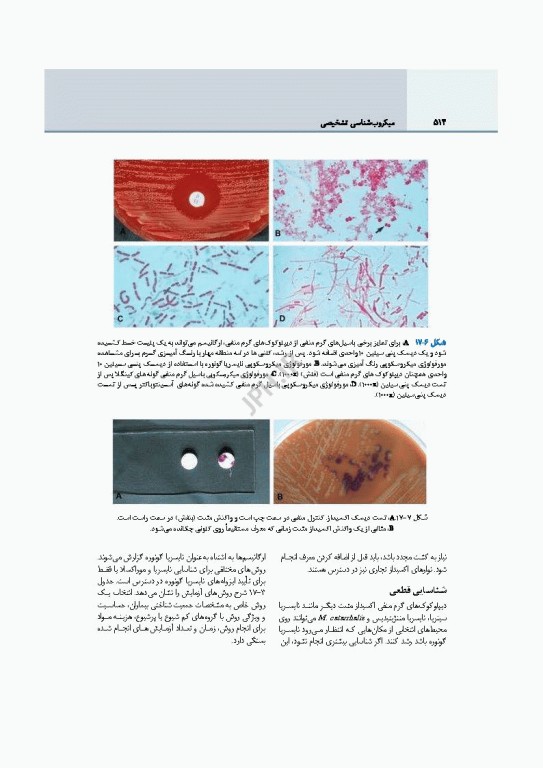 میکروب‌شناسی تشخیصی ماهون جلد2 شناسایی ایزوله‌های مهم آزمایشگاهی