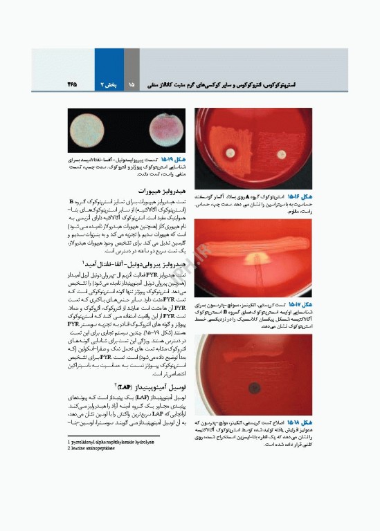 میکروب‌شناسی تشخیصی ماهون جلد2 شناسایی ایزوله‌های مهم آزمایشگاهی