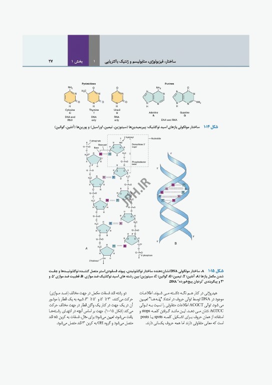 میکروب‌شناسی تشخیصی ماهون جلد1 مقدمه‌ای بر میکروب‌شناسی بالینی
