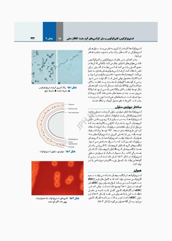 میکروب‌شناسی تشخیصی ماهون جلد2 شناسایی ایزوله‌های مهم آزمایشگاهی