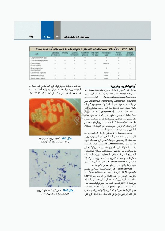 میکروب‌شناسی تشخیصی ماهون جلد2 شناسایی ایزوله‌های مهم آزمایشگاهی