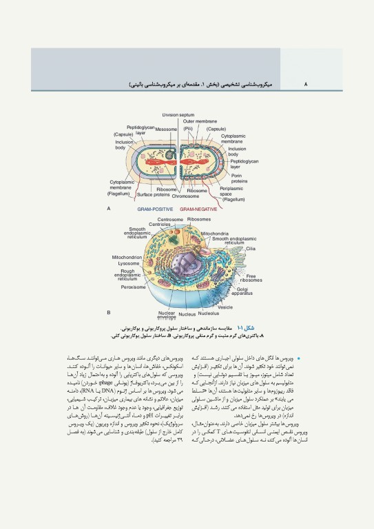 میکروب‌شناسی تشخیصی ماهون جلد1 مقدمه‌ای بر میکروب‌شناسی بالینی
