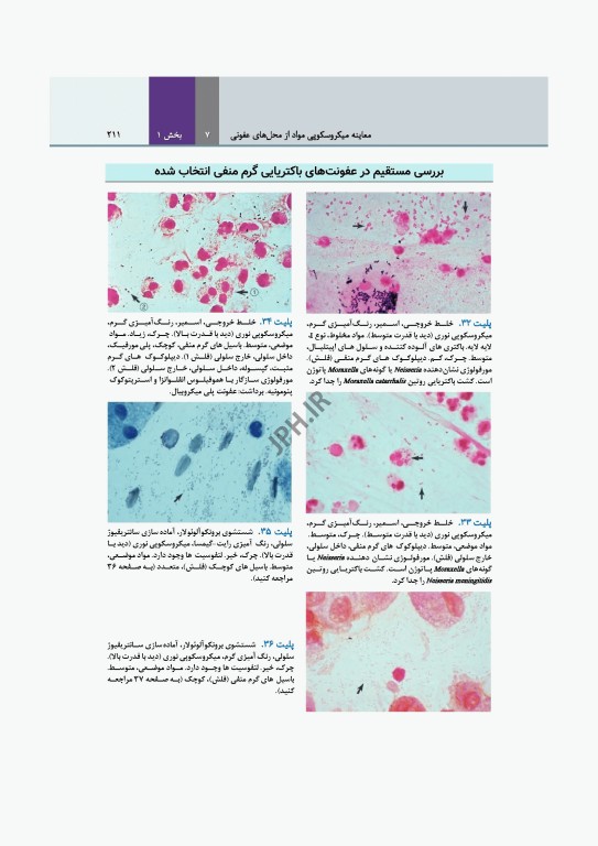 میکروب‌شناسی تشخیصی ماهون جلد1 مقدمه‌ای بر میکروب‌شناسی بالینی