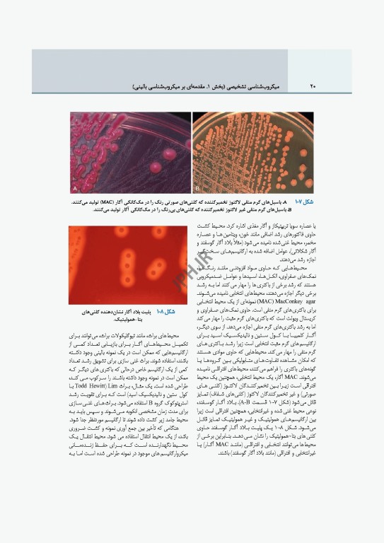 میکروب‌شناسی تشخیصی ماهون جلد1 مقدمه‌ای بر میکروب‌شناسی بالینی