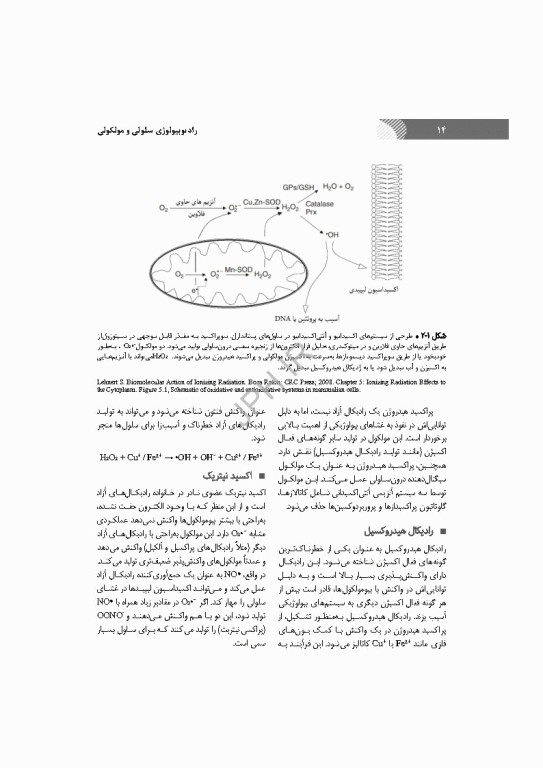 رادیوبیولوژی سلولی و مولکولی