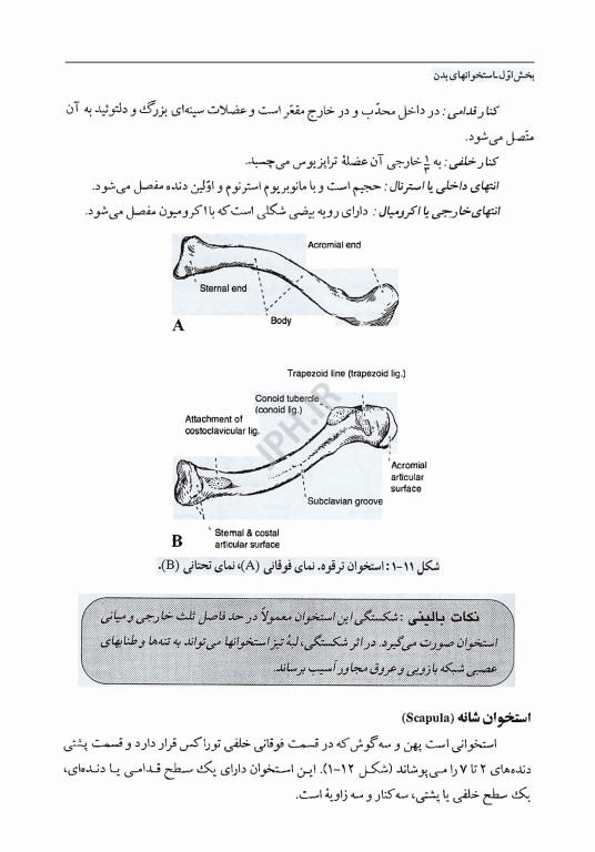 آناتومی عمومی با نکات بالینی