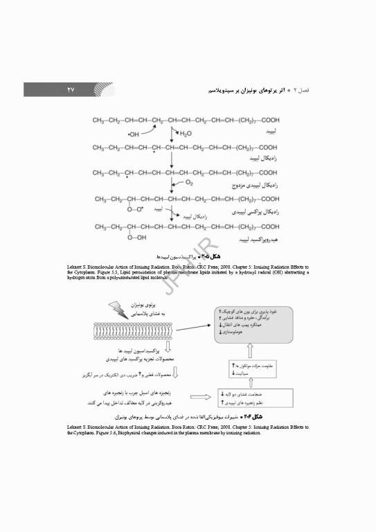 رادیوبیولوژی سلولی و مولکولی