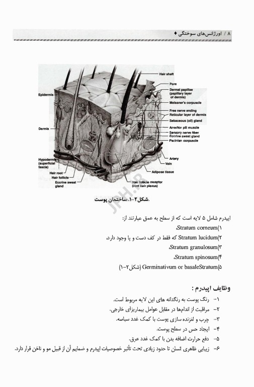 اورژانس‌های سوختگی