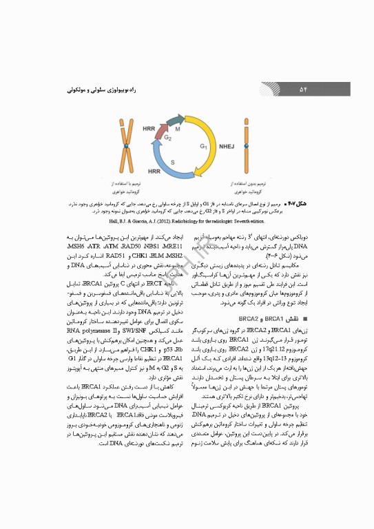 رادیوبیولوژی سلولی و مولکولی