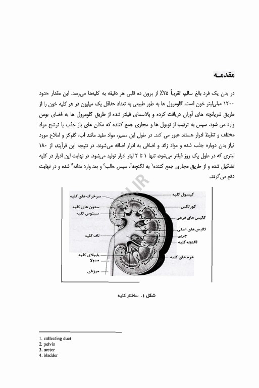 روش‌های کاربردی در آنالیز ادرار