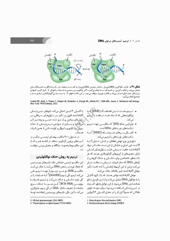 رادیوبیولوژی سلولی و مولکولی