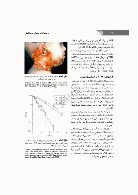 رادیوبیولوژی سلولی و مولکولی