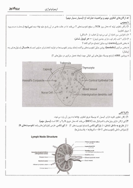 گنجینه سوالات پروگنوز علوم پایه پزشکی و دندان‌پزشکی ایمونولوژی 1405