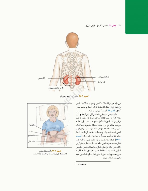پرستاری داخلی جراحی برونر و سودارث 2026 جلد11 کلیه و دستگاه ادراری