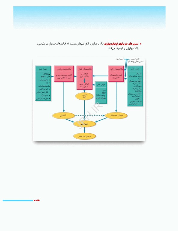 پرستاری داخلی جراحی برونر و سودارث 2026 جلد11 کلیه و دستگاه ادراری
