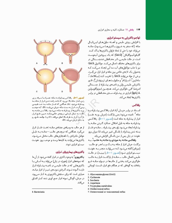 پرستاری داخلی جراحی برونر و سودارث 2026 جلد11 کلیه و دستگاه ادراری
