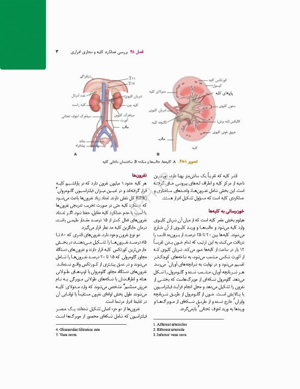 پرستاری داخلی جراحی برونر و سودارث 2026 جلد11 کلیه و دستگاه ادراری