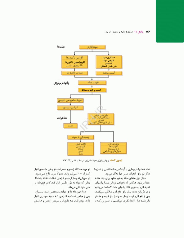 پرستاری داخلی جراحی برونر و سودارث 2026 جلد11 کلیه و دستگاه ادراری