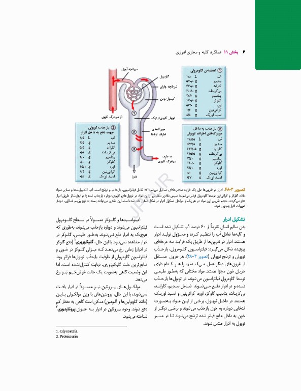 پرستاری داخلی جراحی برونر و سودارث 2026 جلد11 کلیه و دستگاه ادراری
