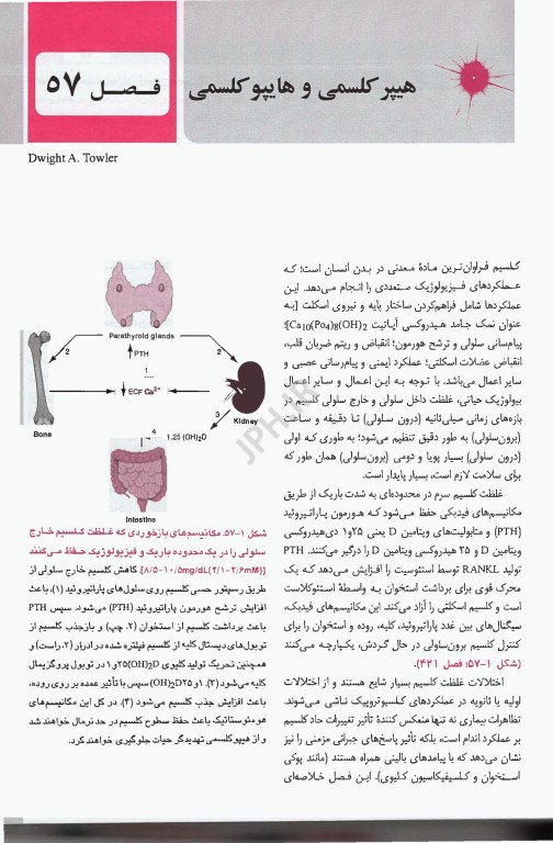 اصول طب داخلی هاریسون 2025 غدد و متابولیسم