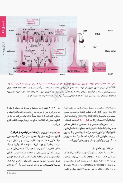 اصول طب داخلی هاریسون 2025 گوارش