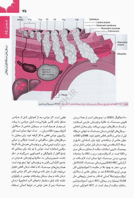 اصول طب داخلی هاریسون 2025 گوارش