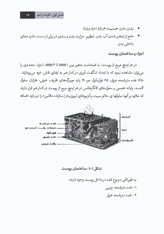 پرستاری در زخم و پانسمان