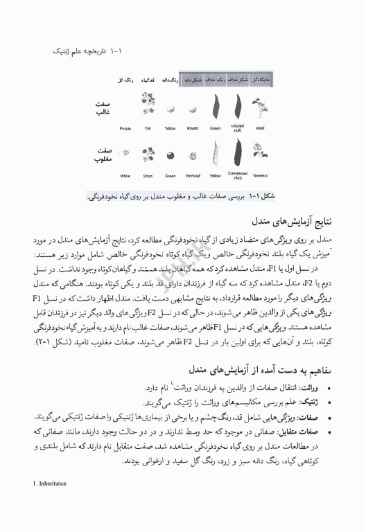 ژنتیک پایه