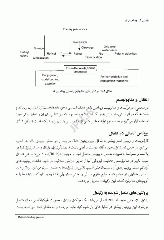 کتاب جامع ویتامین‌ها