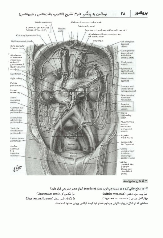گنجینه سوالات پروگنوز لیسانس به پزشکی علوم تشریح (آناتومی، بافت‌شناسی و جنین‌شناسی) 1405