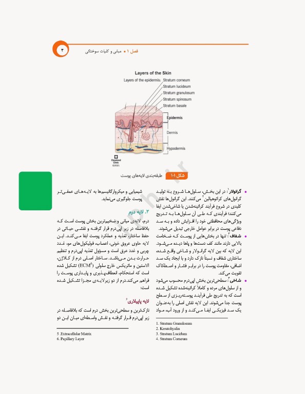 مراقبت‌های جامع پرستاری در بیماران سوختگی از اورژانس تا بازتوانی