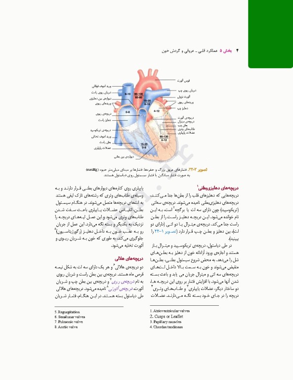 پرستاری داخلی جراحی برونر و سودارث 2026 جلد5 قلب و عروق و گردش خون