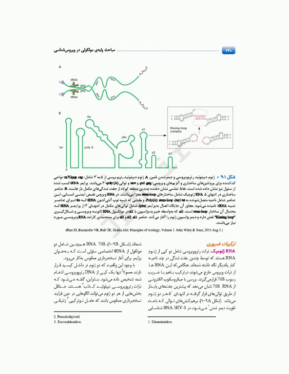 مباحث پایه مولکولی در ویروس‌شناسی اقتباس و تلخیص از اصول ویروس‌شناسی فلینت