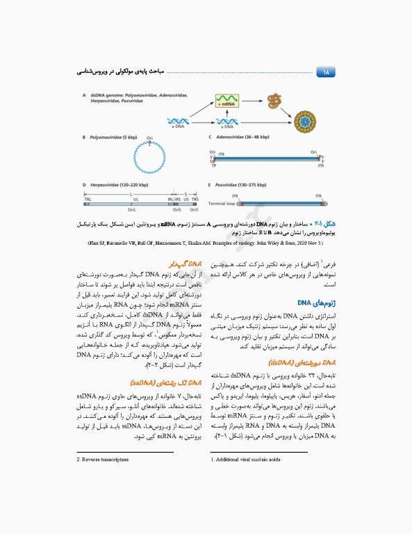 مباحث پایه مولکولی در ویروس‌شناسی اقتباس و تلخیص از اصول ویروس‌شناسی فلینت