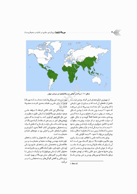مورینگا اولیفرا رویکردی جامع در تغذیه و محیط زیست