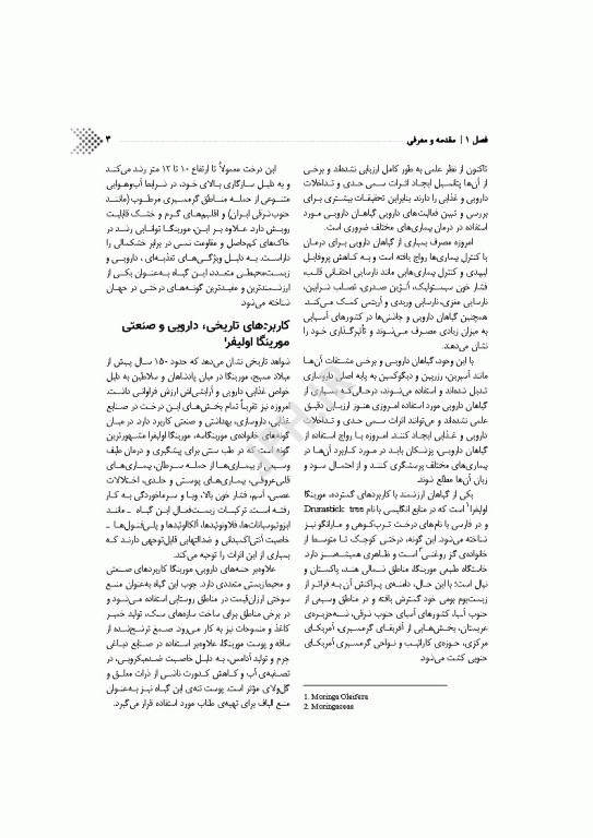 مورینگا اولیفرا رویکردی جامع در تغذیه و محیط زیست