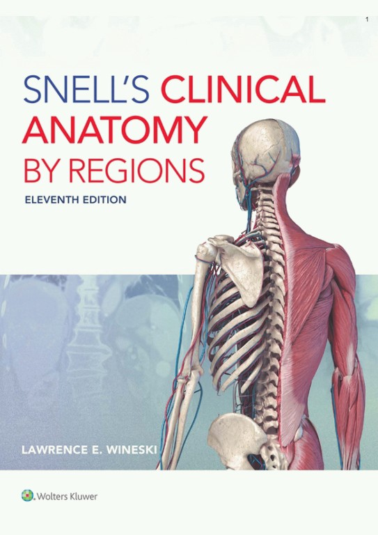 آناتومی بالینی اسنل ویراست یازدهم | 2025 Snell's Clinical Anatomy by Regions