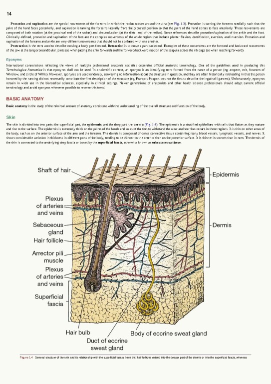 آناتومی بالینی اسنل ویراست یازدهم | 2025 Snell's Clinical Anatomy by Regions