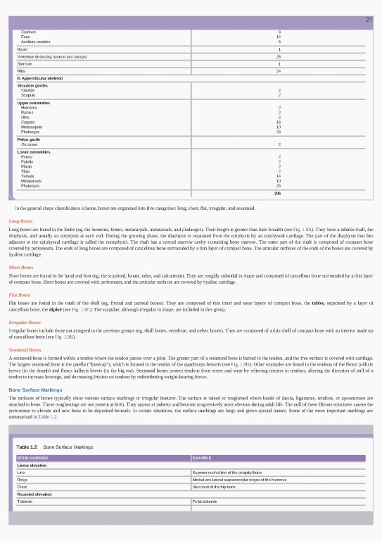 آناتومی بالینی اسنل ویراست یازدهم | 2025 Snell's Clinical Anatomy by Regions