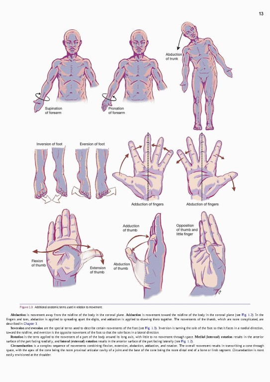 آناتومی بالینی اسنل ویراست یازدهم | 2025 Snell's Clinical Anatomy by Regions