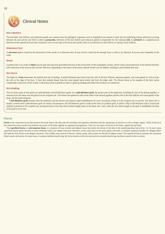 آناتومی بالینی اسنل ویراست یازدهم | 2025 Snell's Clinical Anatomy by Regions