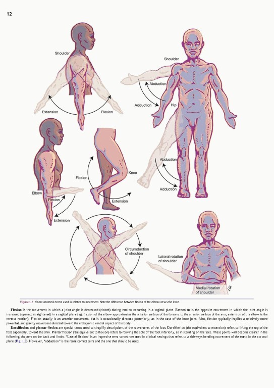 آناتومی بالینی اسنل ویراست یازدهم | 2025 Snell's Clinical Anatomy by Regions