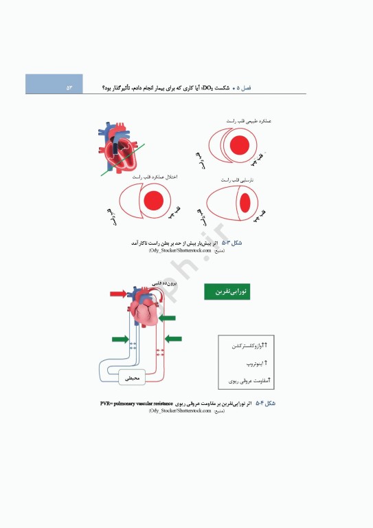 اکمو از مبانی علوم پایه تا مفاهیم پیشرفته