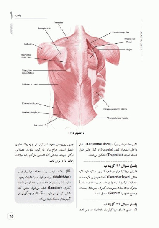 بانک تست جامع لیسانس به پزشکی QB آناتومی اسنل