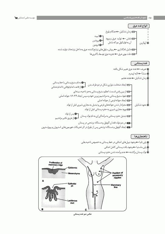 نمودارنامه جنین‌شناسی لانگمن 2024