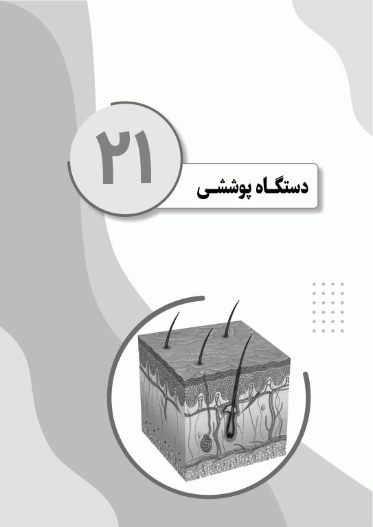 نمودارنامه جنین‌شناسی لانگمن 2024