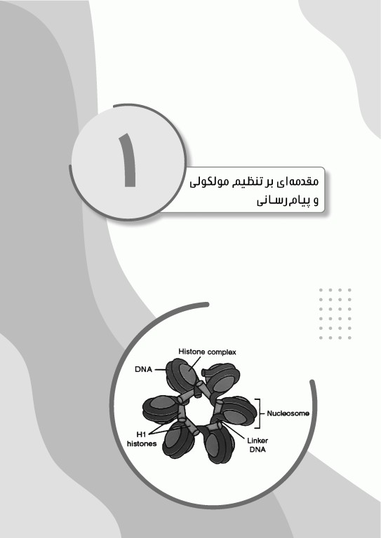 نمودارنامه جنین‌شناسی لانگمن 2024