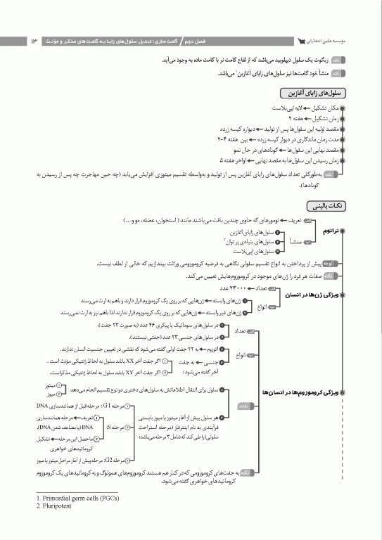 نمودارنامه جنین‌شناسی لانگمن 2024