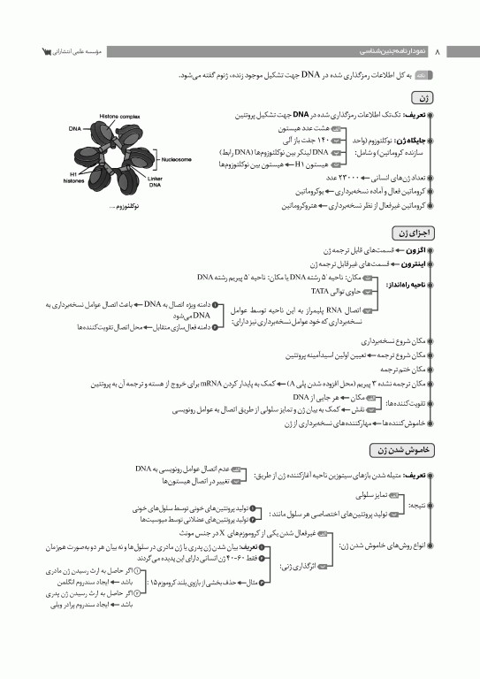 نمودارنامه جنین‌شناسی لانگمن 2024